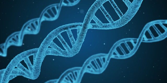 Először bizonyították ténylegesen, hogy az evolúció valóságos. Rossz hír a vegánoknak: a ragadozóknak köszönhető! Először bizonyították ténylegesen, hogy az evolúció valóságos. Rossz hír a vegánoknak: a ragadozóknak köszönhető!