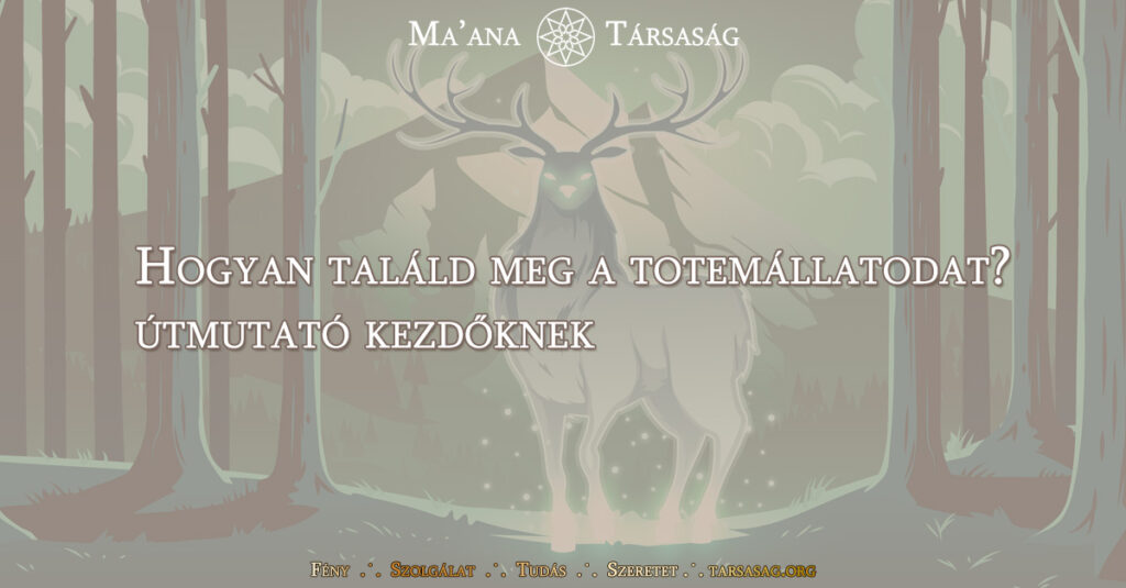 Hogyan találd meg a totemállatodat? Útmutató kezdőknek
